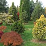 14939496 1290187231053483 4450005094874838240 o